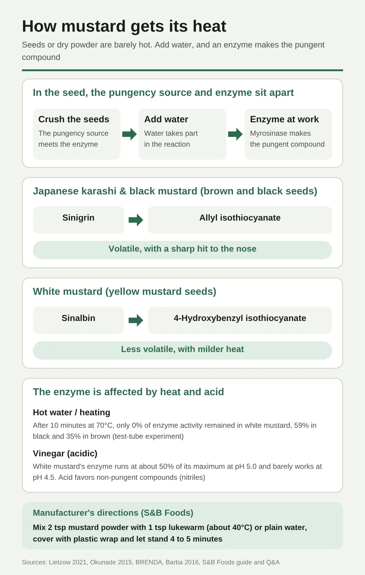 Diagram of how karashi gets hot. As seeds or powder it is hardly hot; when the seed is crushed, the source of the heat meets the enzyme, and when water is added the enzyme myrosinase works and makes the pungent compound. In Japanese karashi and black mustard (brown and black seeds), sinigrin becomes allyl isothiocyanate, which is volatile and hits the nose. In white mustard (the seed of yellow mustard), sinalbin becomes 4-hydroxybenzyl isothiocyanate, which is not volatile and has a mild heat. The enzyme is affected by heat and acid: after 10 minutes of heating at 70°C, only 0% of the enzyme activity remained for white mustard, 59% for black mustard, and 35% for brown (a test-tube experiment). The enzyme of white mustard is at its maximum of about 50% at pH 5.0 and hardly works at pH 4.5, and in acid conditions the non-pungent compound (nitrile) is more likely to form. The manufacturer (S&B Foods) instructs to dissolve 2 teaspoons of karashi powder in lukewarm water of about 40°C or 1 teaspoon of water, cover with plastic wrap, and leave for 4 to 5 minutes.