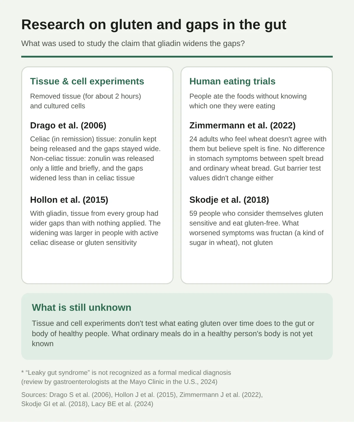 A diagram showing, in two groups, what was used to study the claim that gliadin, a component of gluten, widens the gaps in the gut. On the left, experiments on tissue taken from the body (for about 2 hours) and on cultured cells. In Drago et al. 2006, the gaps stayed widened in tissue from people with celiac disease in remission, but in tissue from people without celiac disease, zonulin was released only a little and briefly, and the widening was not as large. In Hollon et al. 2015, the gaps widened in tissue from every group, and more in people with active celiac disease or gluten sensitivity. On the right, trials in which people ate food without knowing which one. In Zimmermann et al. 2022, there was no difference between spelt bread and ordinary wheat bread, either in stomach symptoms or in gut barrier test values. In Skodje et al. 2018, what worsened symptoms was fructan, not gluten. What happens in a healthy person's body from ordinary meals is not known.