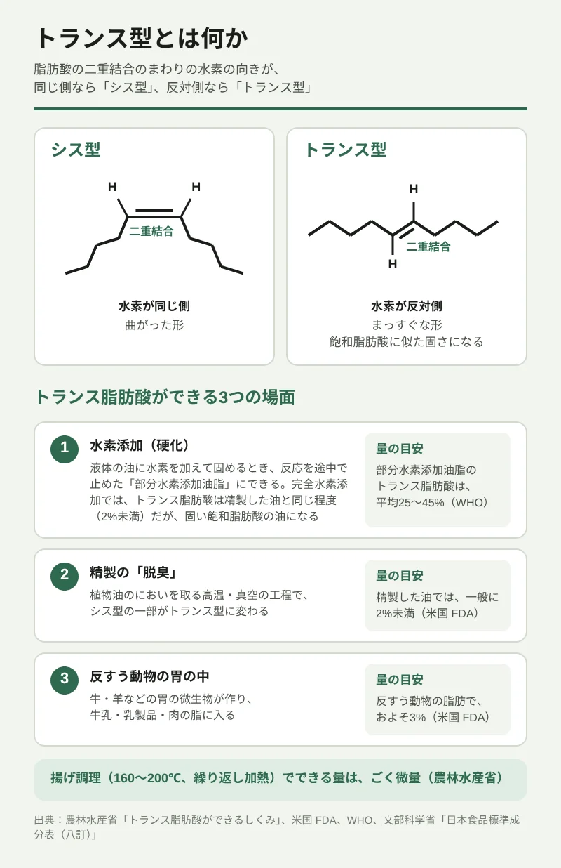 トランス型とは何かを示す図。脂肪酸の二重結合のまわりの水素の向きが同じ側ならシス型、反対側ならトランス型。シス型は水素が同じ側で、鎖が曲がった形。トランス型は水素が反対側で、まっすぐな形になり、飽和脂肪酸に似た固さになる。下の段は、トランス脂肪酸ができる3つの場面。1つ目は水素添加(硬化)で、液体の油に水素を加えて固めるとき、反応を途中で止めた部分水素添加油脂にできる。量の目安は、部分水素添加油脂のトランス脂肪酸が平均25〜45%(WHO)。完全水素添加では、トランス脂肪酸は精製した油と同じ程度(2%未満)だが、固い飽和脂肪酸の油になる。2つ目は精製の脱臭で、植物油のにおいを取る高温・真空の工程で、シス型の一部がトランス型に変わる。精製した油では一般に2%未満(米国FDA)。3つ目は反すう動物の胃の中で、牛・羊などの胃の微生物が作り、牛乳・乳製品・肉の脂に入る。反すう動物の脂肪でおよそ3%(米国FDA)。揚げ調理(160〜200℃、繰り返し加熱)でできる量はごく微量(農林水産省)。