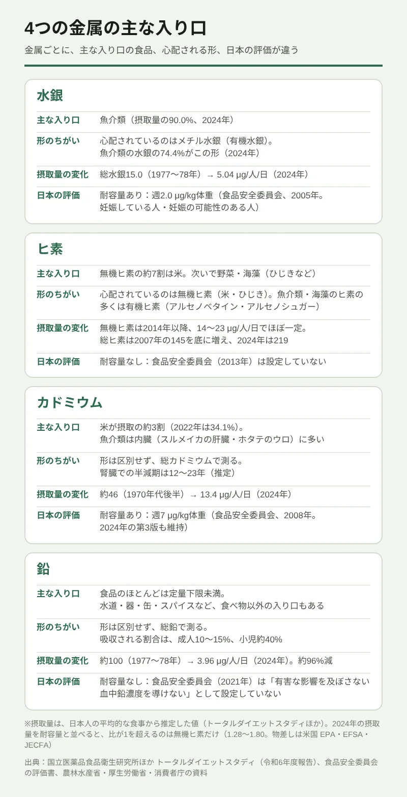 食品からの水銀・ヒ素・カドミウム・鉛の主な入り口を比べた図。水銀は魚介類から入り、摂取量の90.0%(2024年)。心配されているのはメチル水銀で、魚介類の水銀の74.4%がこの形。総水銀の摂取量は1977〜78年の15.0から2024年の5.04μg/人/日へ。日本には耐容量があり、週2.0μg/kg体重(食品安全委員会、2005年、妊娠している人・妊娠の可能性のある人)。ヒ素は、無機ヒ素の約7割が米で、次いで野菜・海藻(ひじきなど)。心配されているのは無機ヒ素で、魚介類・海藻のヒ素の多くは有機ヒ素。無機ヒ素は2014年以降14〜23μg/人/日でほぼ一定。食品安全委員会は耐容量を設定していない。カドミウムは米が摂取の約3割で、魚介類は内臓に多い。摂取量は1970年代後半の約46から2024年の13.4μg/人/日へ。耐容量は週7μg/kg体重。鉛は食品のほとんどが定量下限未満で、水道・器・缶・スパイスなど食べ物以外の入り口もある。摂取量は約100から3.96μg/人/日へ約96%減。食品安全委員会は耐容量を設定していない。2024年に比が1を超えるのは無機ヒ素だけ(1.28〜1.80)。