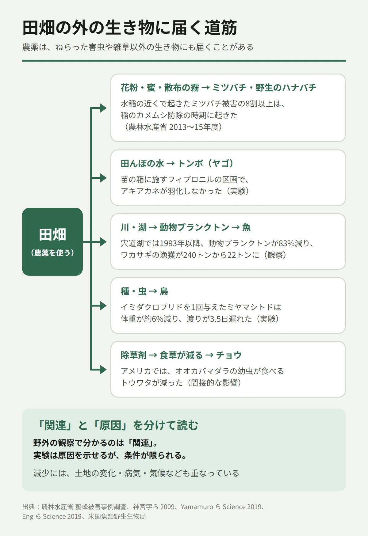 農薬が田畑の外の生き物に届く道筋を示した図。田畑から5つの道筋がある。花粉・蜜・散布の霧からミツバチ・野生のハナバチへ(水稲の近くで起きたミツバチ被害の8割以上は、稲のカメムシ防除の時期に起きた)。田んぼの水からトンボのヤゴへ(苗の箱に施すフィプロニルの区画でアキアカネが羽化しなかった、実験)。川・湖から動物プランクトン、魚へ(宍道湖では1993年以降、動物プランクトンが83%減り、ワカサギの漁獲が240トンから22トンに、観察)。種・虫から鳥へ(イミダクロプリドを1回与えたミヤマシトドは体重が約6%減り、渡りが3.5日遅れた、実験)。除草剤から食草の減少を通じてチョウへ(アメリカではオオカバマダラの幼虫が食べるトウワタが減った、間接的な影響)。野外の観察で分かるのは関連で、実験は原因を示せるが条件が限られる。減少には土地の変化・病気・気候なども重なっている。